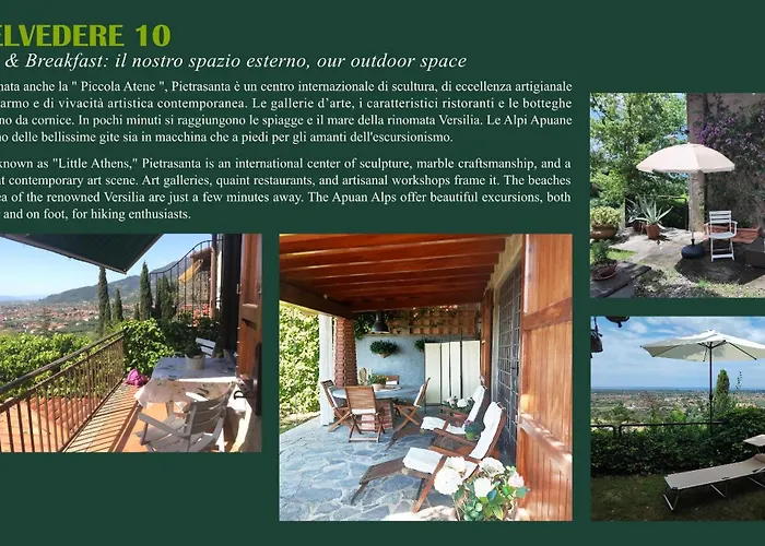 Belvedere 10