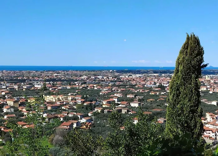 Belvedere 10